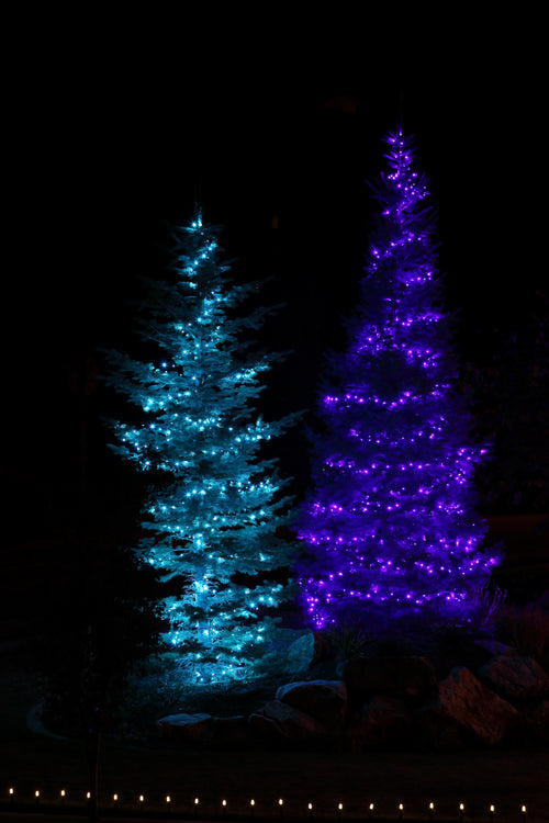 5MM 70L Teal LED Strand 4" Spacing